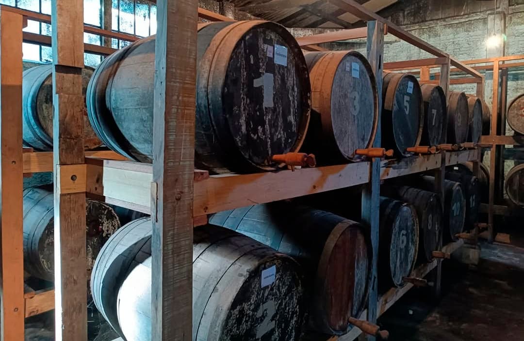 Envelhecimento com Amburana